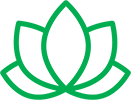Immunity flower