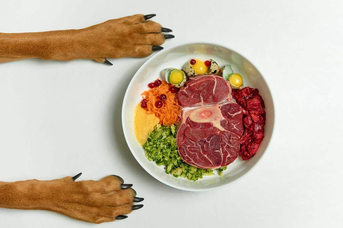 Dog paws plus bowl with various ingredients