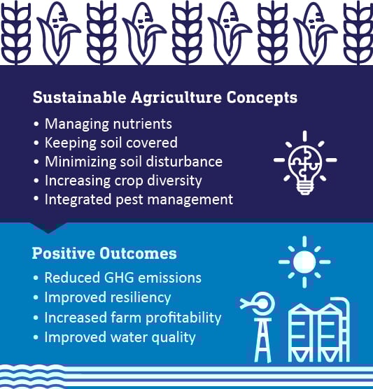 sustainable regenerative infographic2