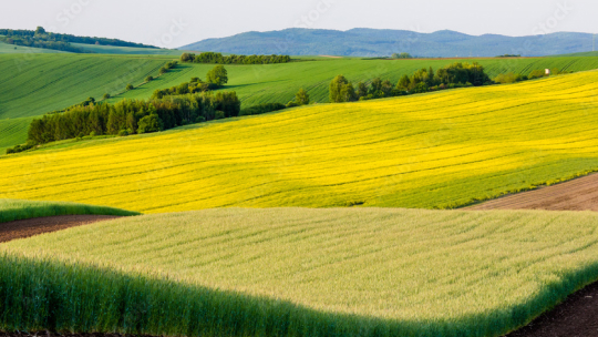 sustainability c15 img