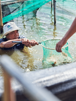 Aquaculture Production Health Management